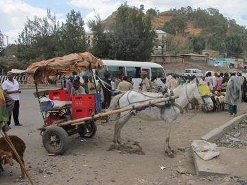 Calèche_équine_marché_Ethiopie_2013_Eric_Vall