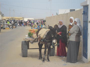 Charrette_Karrita_marché_hebdomadaire_Gabes_Tunisie_Waad_Nasri