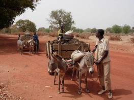 Charrette asine pour le fumure, Kourouma, Burkina Faso ©  Eric Vall 