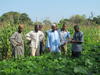 Visite commentée d'une parcelle de mucuna à Koumbia_Burkina Faso_2012_Eric Vall