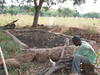 Fosse compostière au bord d’un champ, Boni, Burkina Faso (crédit photo : Mélanie Blanchard, 2022)